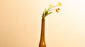 Preview wallpaper flowers, vase, decor, aesthetics