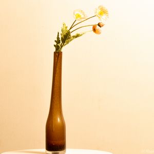 Preview wallpaper flowers, vase, decor, aesthetics