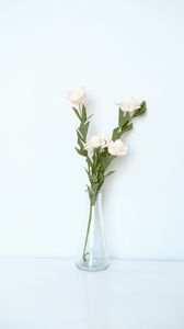 Preview wallpaper flowers, vase, white, light