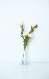 Preview wallpaper flowers, vase, white, light