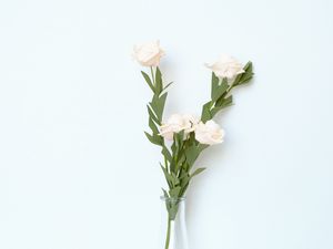 Preview wallpaper flowers, vase, white, light