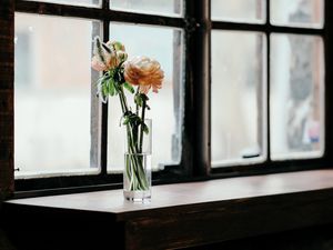 Preview wallpaper flowers, vase, window, bouquet