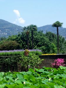 Preview wallpaper flowers, wall, pots, garden, look, mountains