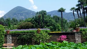 Preview wallpaper flowers, wall, pots, garden, look, mountains