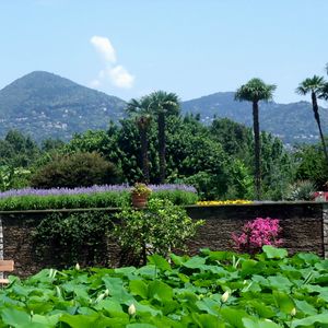 Preview wallpaper flowers, wall, pots, garden, look, mountains