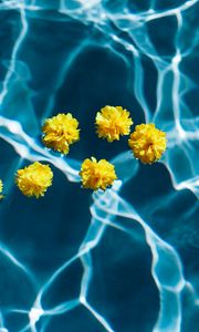 Preview wallpaper flowers, water, pool, transparent