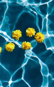 Preview wallpaper flowers, water, pool, transparent