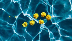 Preview wallpaper flowers, water, pool, transparent