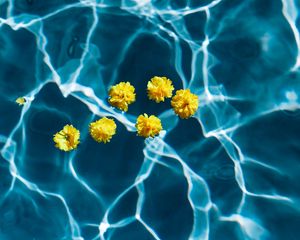 Preview wallpaper flowers, water, pool, transparent
