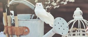 Preview wallpaper flowers, watering can, bird, decoration, light