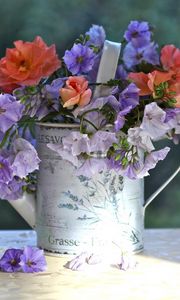 Preview wallpaper flowers, watering can, table, china