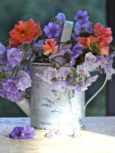 Preview wallpaper flowers, watering can, table, china