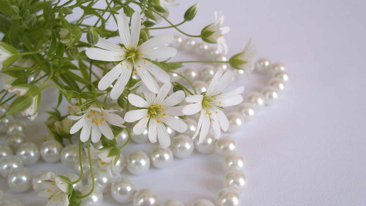 Wallpaper flowers, white, small, beads, pearls