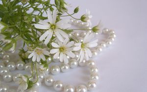 Preview wallpaper flowers, white, small, beads, pearls