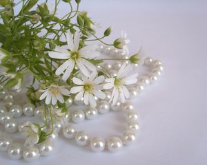 Preview wallpaper flowers, white, small, beads, pearls