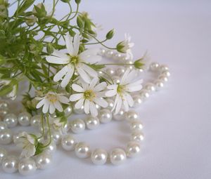 Preview wallpaper flowers, white, small, beads, pearls