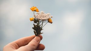 Preview wallpaper flowers, wildflowers, hand