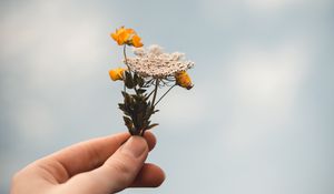 Preview wallpaper flowers, wildflowers, hand