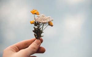 Preview wallpaper flowers, wildflowers, hand