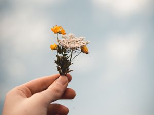 Preview wallpaper flowers, wildflowers, hand