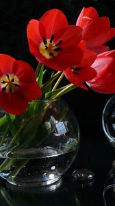 Preview wallpaper flowers, wine glasses, candle