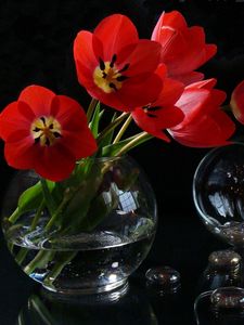 Preview wallpaper flowers, wine glasses, candle