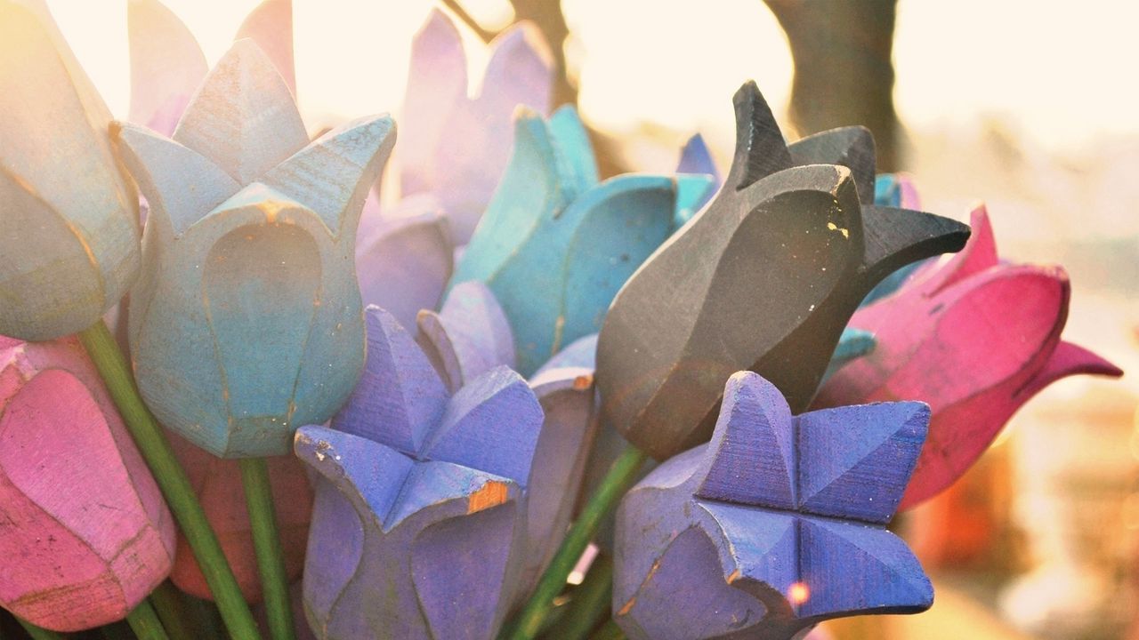 Wallpaper flowers, wood, tulips, sun