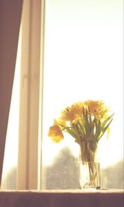 Preview wallpaper flowers, yellow, bouquet, vase, window, light