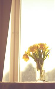 Preview wallpaper flowers, yellow, bouquet, vase, window, light