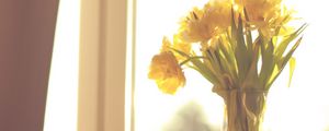 Preview wallpaper flowers, yellow, bouquet, vase, window, light