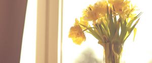 Preview wallpaper flowers, yellow, bouquet, vase, window, light