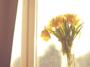 Preview wallpaper flowers, yellow, bouquet, vase, window, light