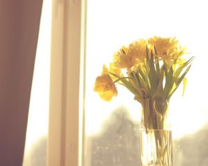 Preview wallpaper flowers, yellow, bouquet, vase, window, light