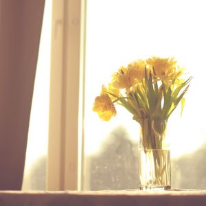 Preview wallpaper flowers, yellow, bouquet, vase, window, light