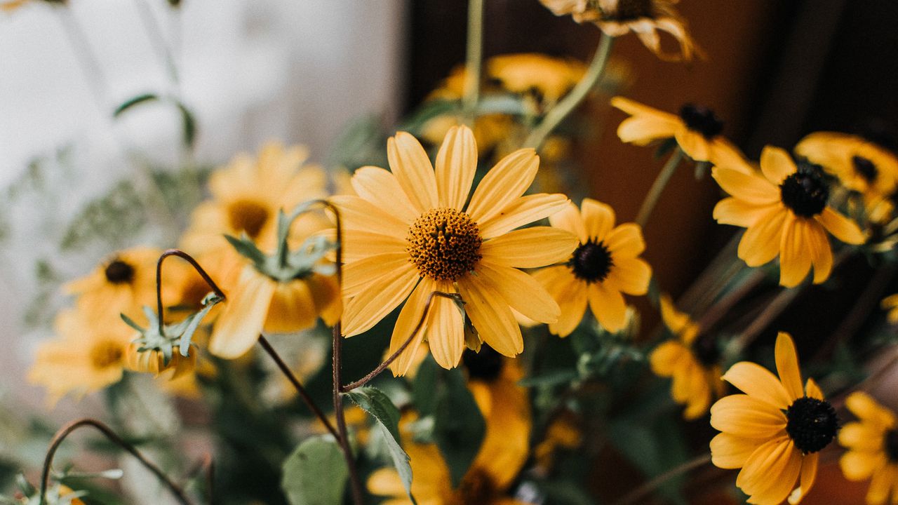 Wallpaper flowers, yellow, bouquet