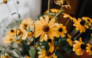 Preview wallpaper flowers, yellow, bouquet