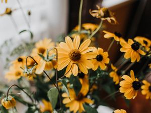Preview wallpaper flowers, yellow, bouquet