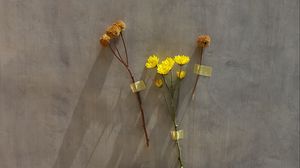 Preview wallpaper flowers, yellow, herbarium, dry