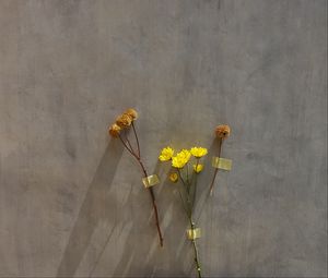 Preview wallpaper flowers, yellow, herbarium, dry