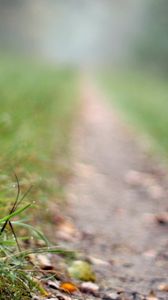 Preview wallpaper fly agaric, mushroom, footpath, grass