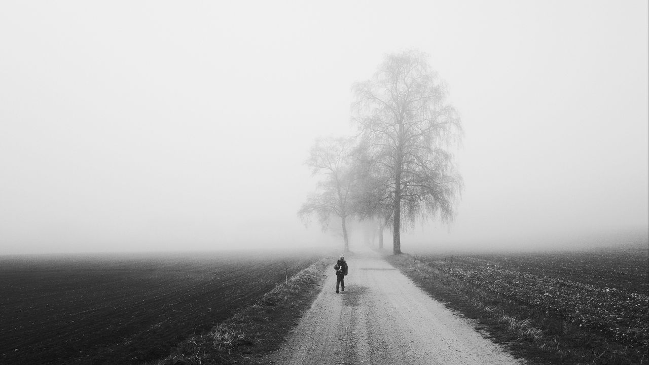 Wallpaper fog, alone, bw, silhouette, road, trees