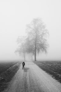 Preview wallpaper fog, alone, bw, silhouette, road, trees
