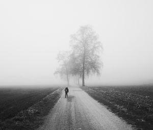 Preview wallpaper fog, alone, bw, silhouette, road, trees