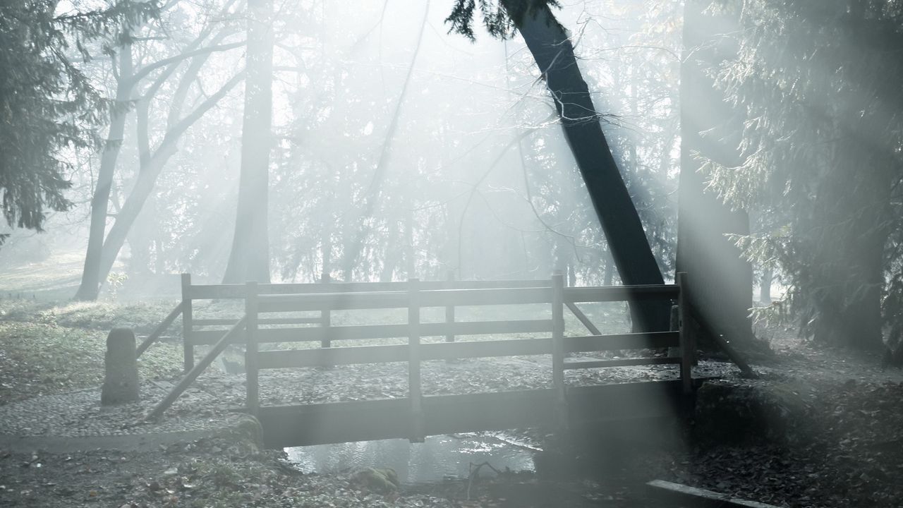 Wallpaper fog, bridge, wood, haze