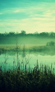 Preview wallpaper fog, canes, pond, twilight, gloomy