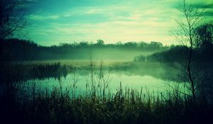 Preview wallpaper fog, canes, pond, twilight, gloomy