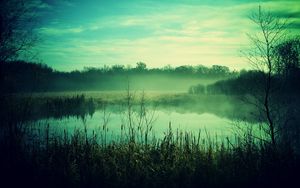 Preview wallpaper fog, canes, pond, twilight, gloomy