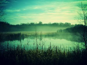 Preview wallpaper fog, canes, pond, twilight, gloomy