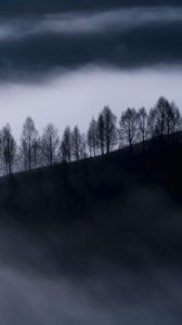 Preview wallpaper fog, clouds, hills, trees, nature