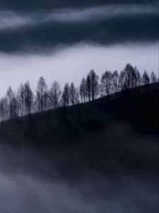 Preview wallpaper fog, clouds, hills, trees, nature